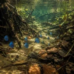 Disco Blue Diamond - Image 5