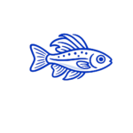 Bettas