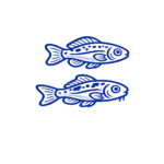 Peces Arcoiris