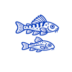 Peces de Fondo