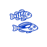 Peces Marinos